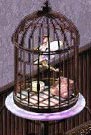 fairy in a cage