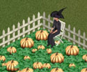 halloween pumpkin patch